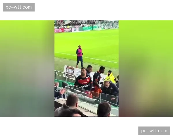 “我们的城市，我们的颜色”：探访蒙彼利埃死忠球迷组织